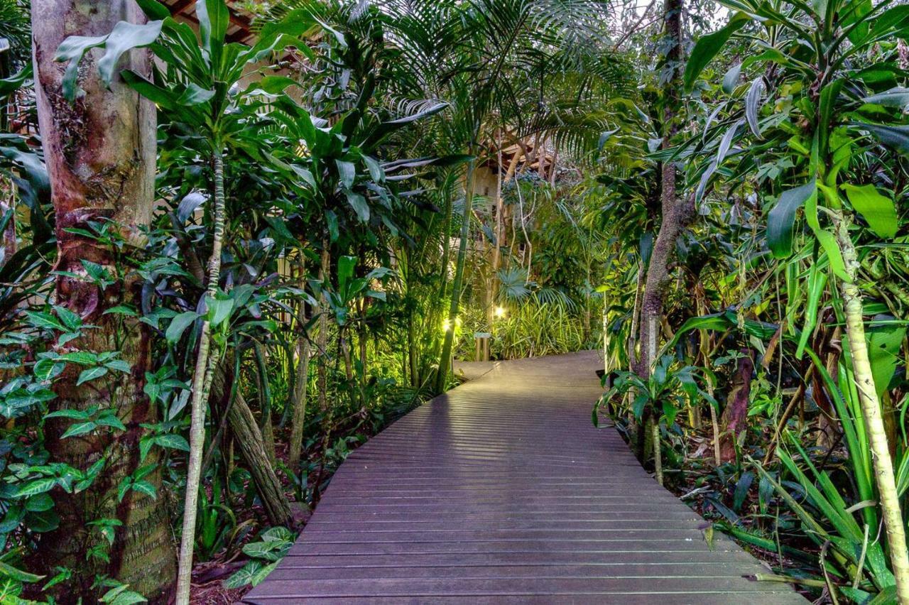 Forest Lodge St Lucia Exterior photo
